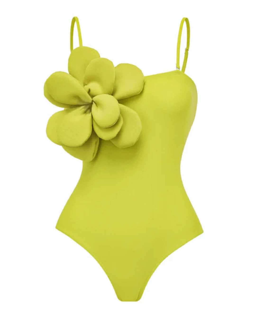 Kit Praia Brava do Sul